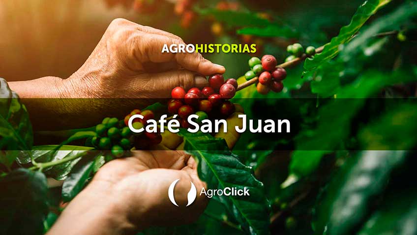 agrohistoria-cafe-san-juan Home | HitLive