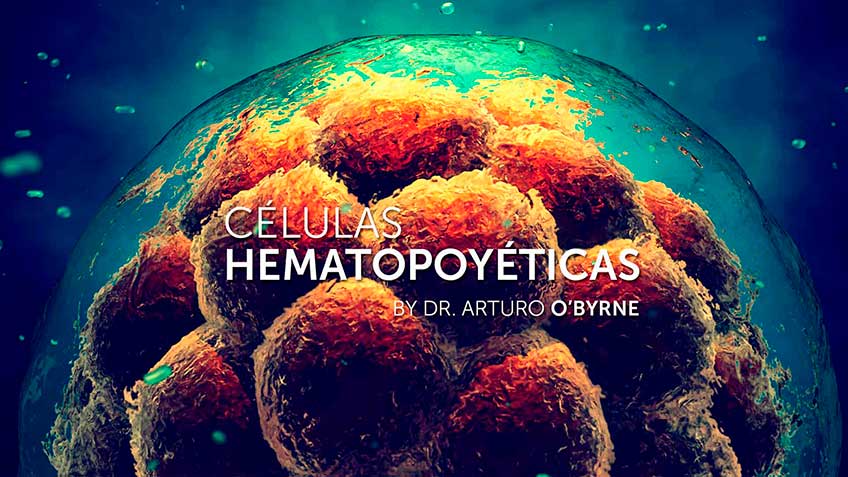 Células Hematopoyéticas Humanas
