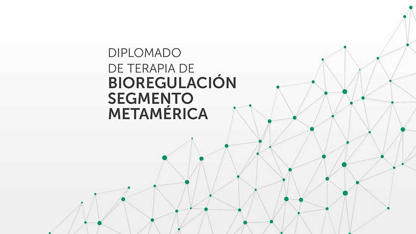Diplomado de Terapia de BioRegulación Segmento Metamérica