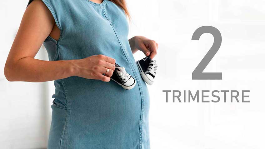 embarazo, segundo trimestre, concepción, salud, embarazo saludable, maternidad