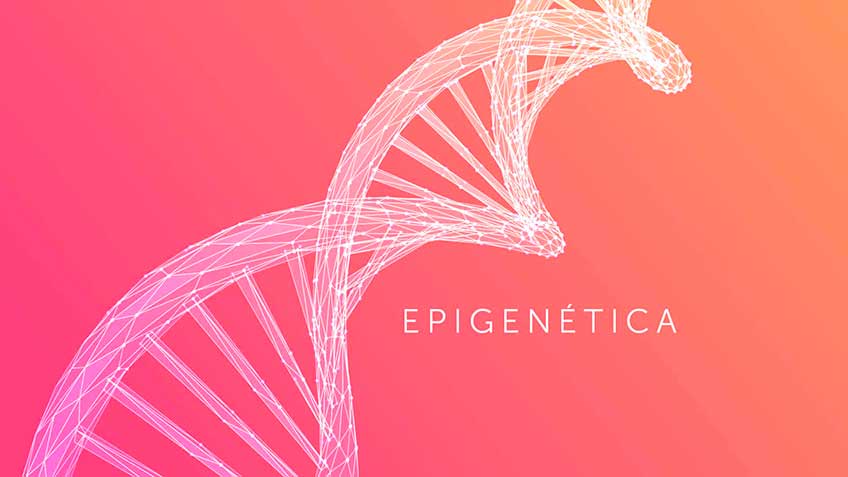 epigenetica-la-ciencia-de-la-adaptacion Encuentros con la Salud Serie 1 - Principios básicos de la terapéutica biológica reguladora | HitLive
